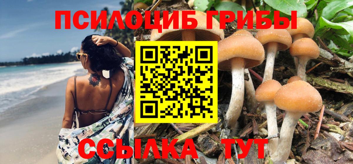 Псилоцибиновые грибы Cubensis  Вход с VPN  Обь 